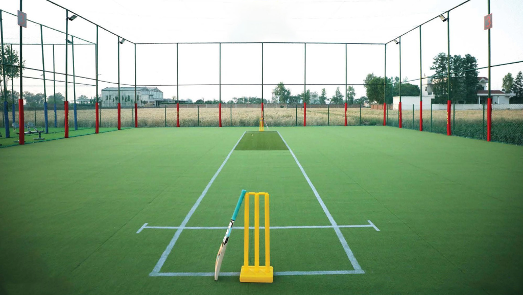 Cricket Pitch